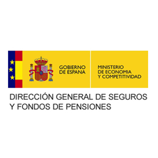 Logo Dirección General de Seguros - Ministerio de Economía